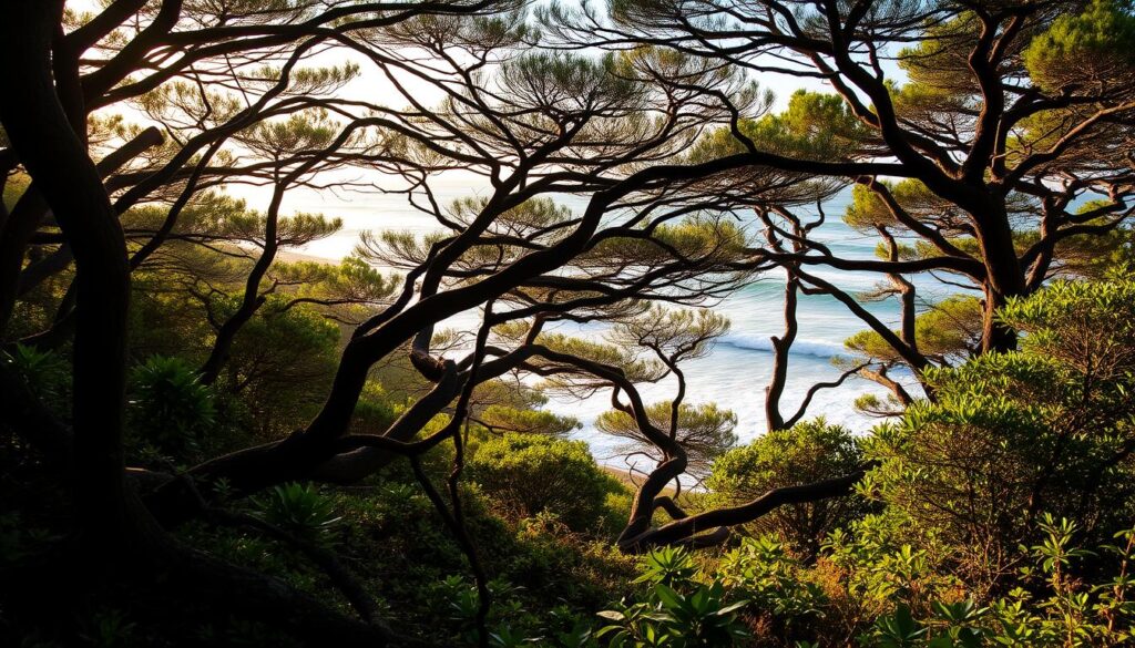 coastal forests